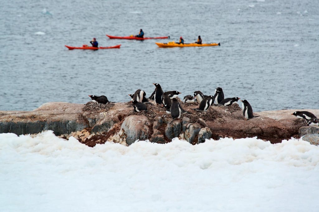 Sea kayaking (operator-dependent) — luxury cruise shore experience