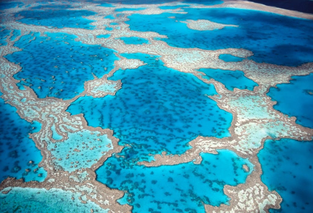 Great Barrier Reef & New Zealand adventure — luxury cruise shore experience