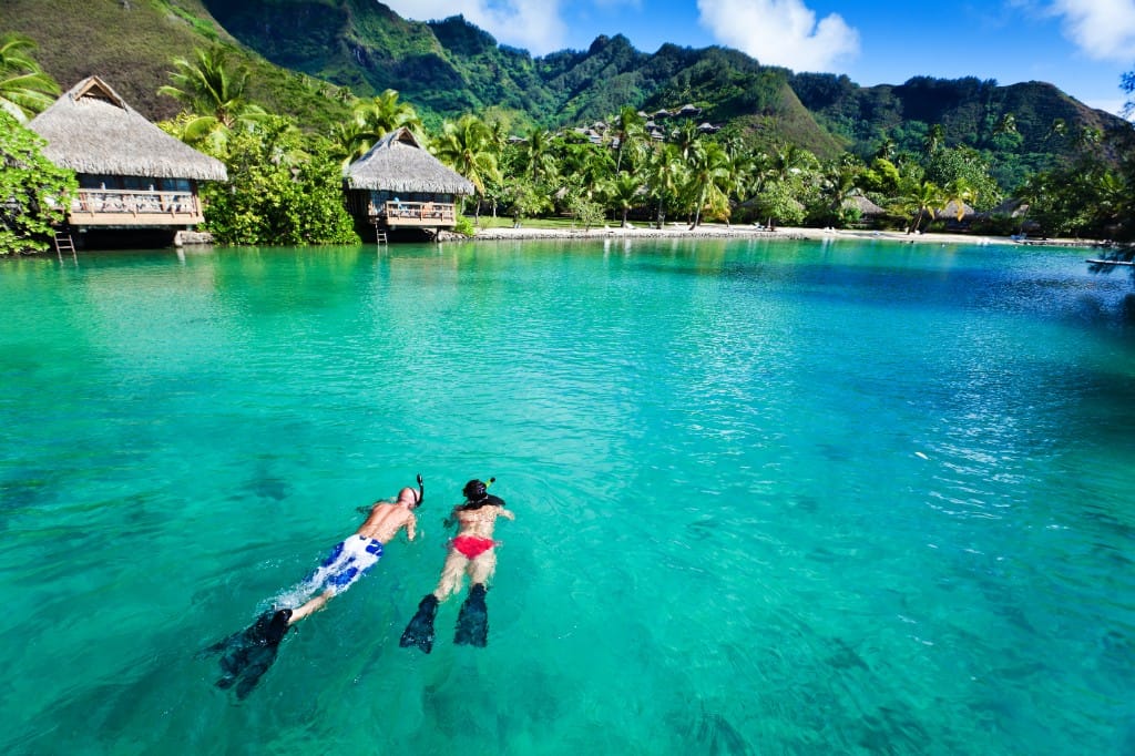 Reef & island snorkelling — luxury cruise shore experience