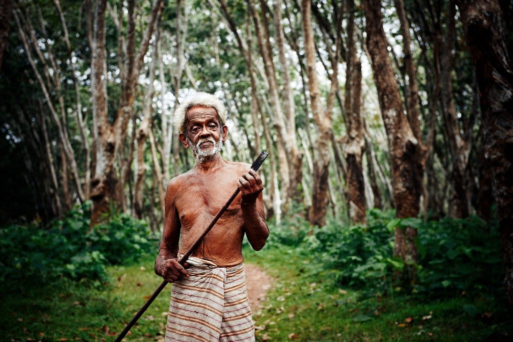 Aboriginal & Māori cultural encounters — luxury cruise shore experience