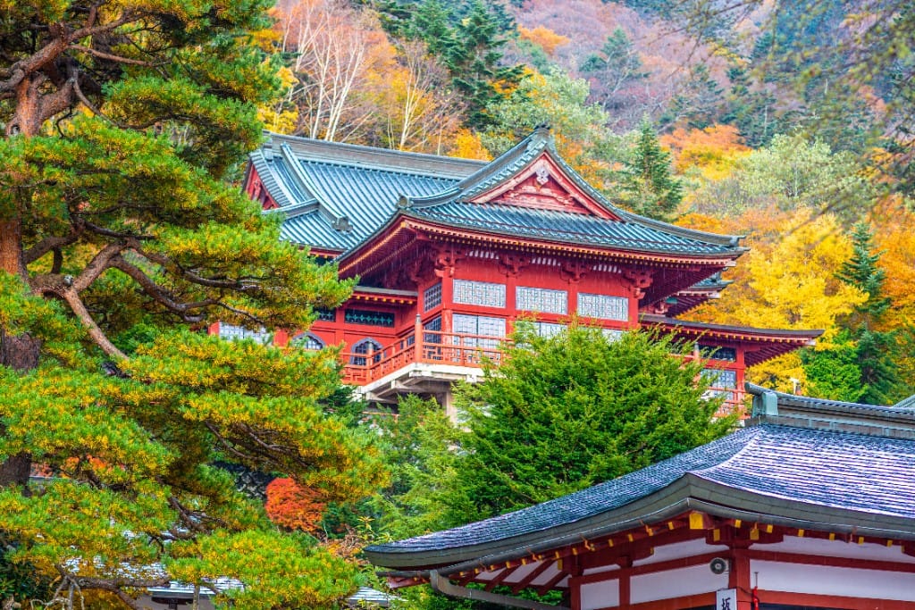 Temple dawns & monastery visits — luxury cruise shore experience