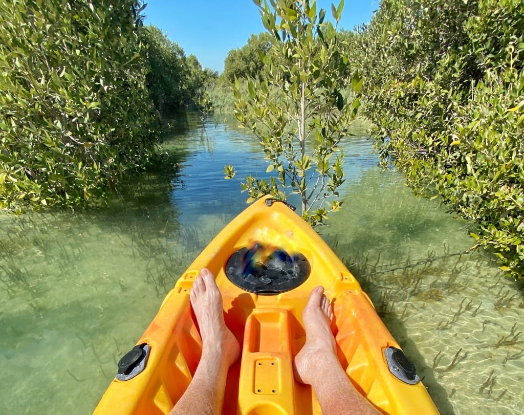Kayak mangroves & bioluminescence — luxury cruise shore experience