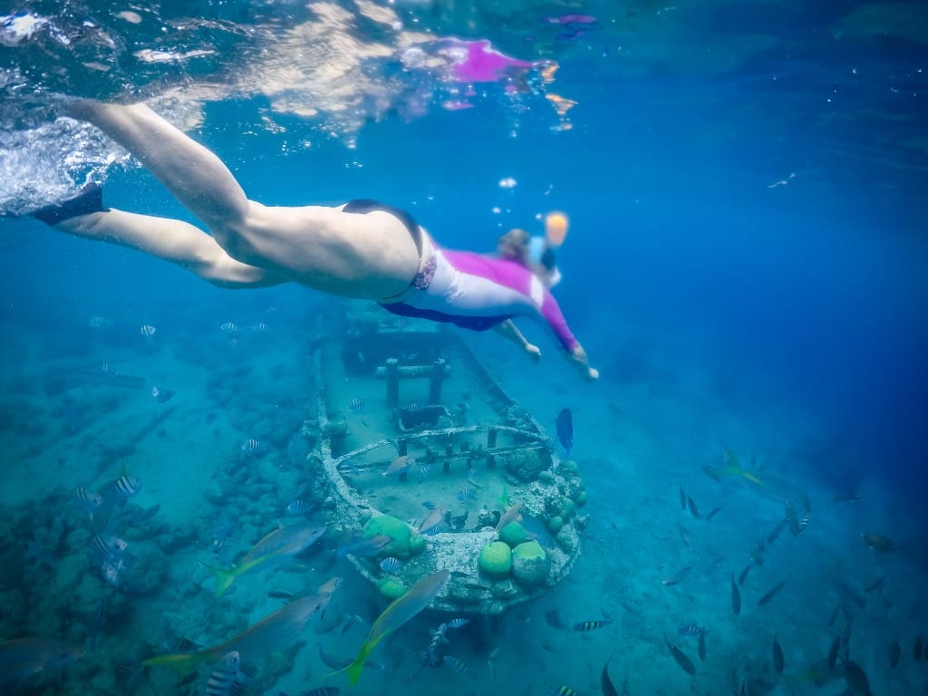 Guided reef & wreck snorkelling — luxury cruise shore experience