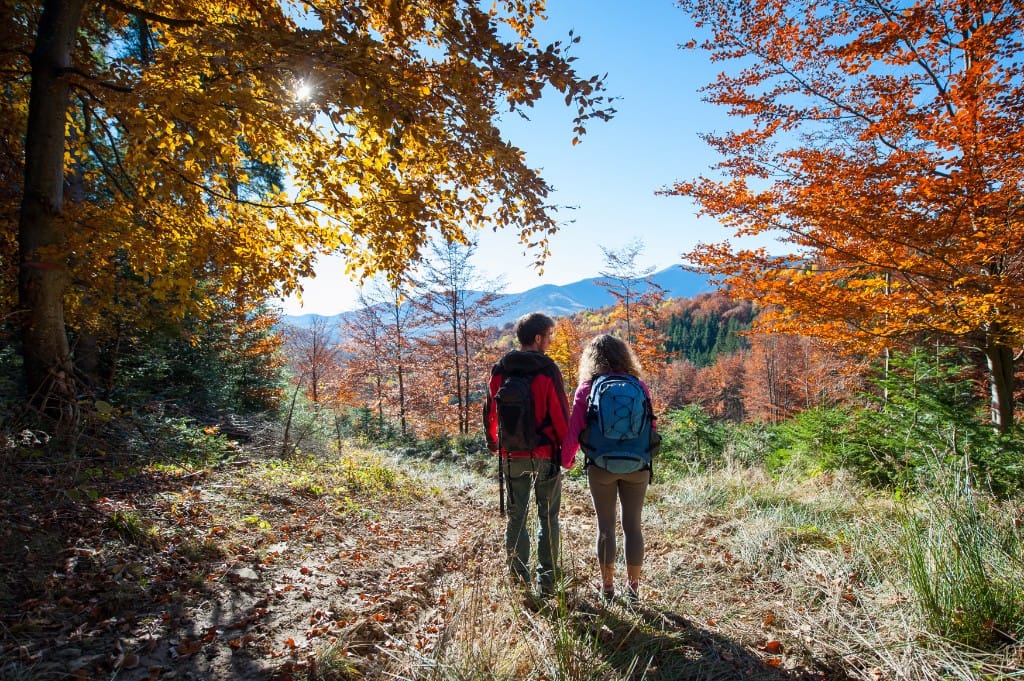 Foliage & coastal hikes — luxury cruise shore experience