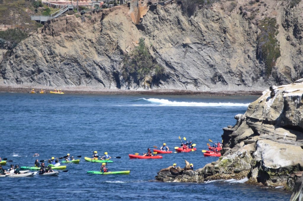 Coastal kayaking & harbour paddles — luxury cruise shore experience