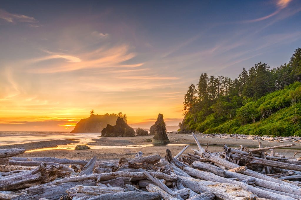 First Nations Pacific hosts — luxury cruise shore experience