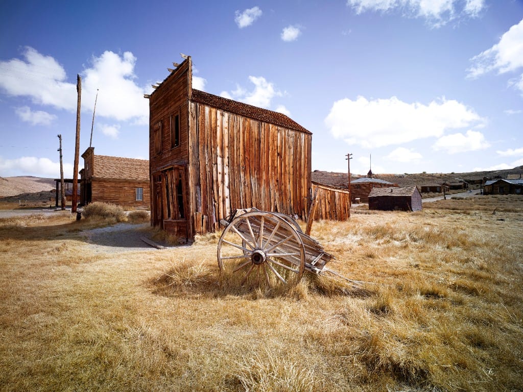 Pacific exploration & gold rush — luxury cruise shore experience