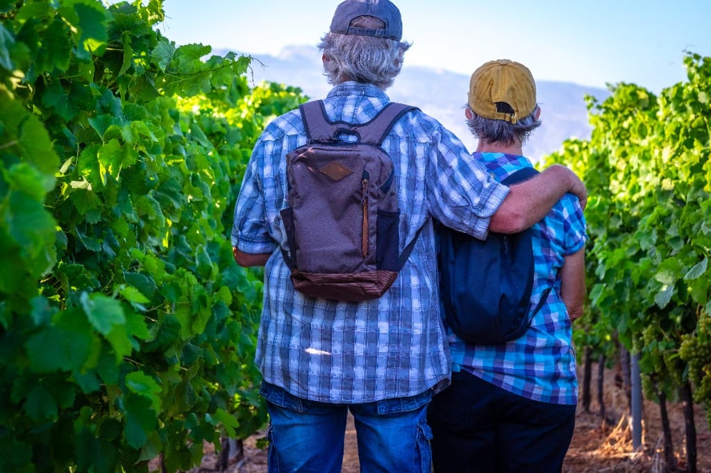 Rhine & Moselle vineyard hikes — luxury cruise shore experience