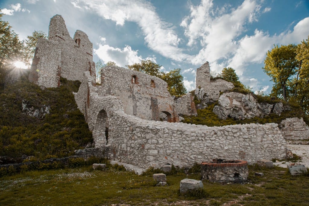 Rhine legends & wartime crossings — luxury cruise shore experience