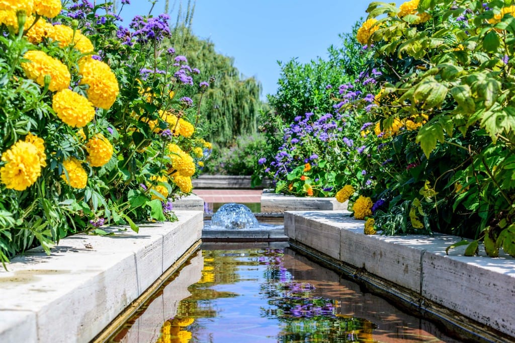 Private Normandy & Giverny extensions — luxury cruise shore experience